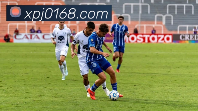 新葡京在线网址服务体系